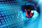 Big Data and Decision Management Systems-The Impact of Variety