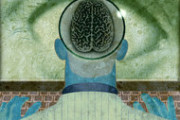 Why a big brain may be the main requirement for big data