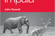 A New Python Client for Impala