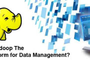 Why is Hadoop the Best Platform for Data Management?