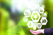3 Simple Ways to Make Your Business Go Green