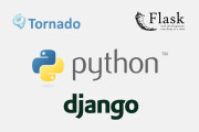 Django, Flask, and Tornado – the most popular Python frameworks and their differences