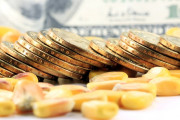 What are the most traded commodities?
