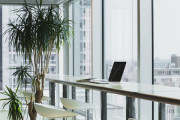 7 Tips To Setup A Successful Office