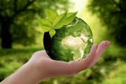 Going green – What are the benefits of adopting Sustainability in Business?