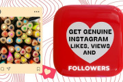 1394TA Review: Get Genuine Instagram Followers, Likes, And Views