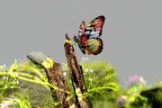 The Transformative Role of 3D Animation in Advertising and Product Visualization
