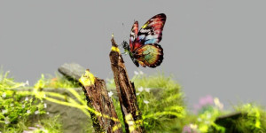 The Transformative Role of 3D Animation in Advertising and Product Visualization