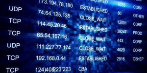 IP Addresses Revealed: Beyond Just Numeric Values