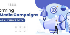 Transforming Social Media Campaigns by Harnessing Audience Data