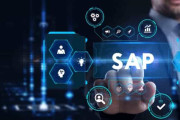 Optimizing Costs and Performance: The Benefits of Outsourcing SAP AMS