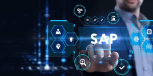 Optimizing Costs and Performance: The Benefits of Outsourcing SAP AMS