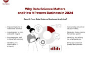 Why Data Science Matters and How It Powers Business in 2025