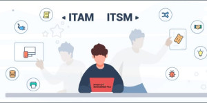 Top Providers with ITSM and ITAM Offers in 2025