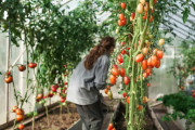 8 Factors That Affect Your Crop’s Selling Price