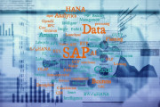 How Big Businesses Manage Data Using SAP: Strategies for Success