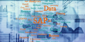 How Big Businesses Manage Data Using SAP: Strategies for Success