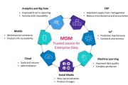Mastering Big Data and Master Data Management for Business Growth