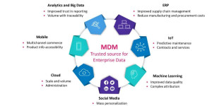 Mastering Big Data and Master Data Management for Business Growth