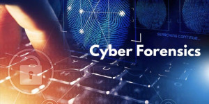 Best Cyber Forensics Software in 2025: Top Tools for Windows Forensics and Beyond