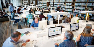 The Connection Between Libraries and History