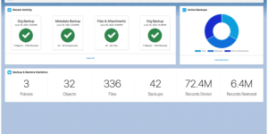 A Smarter Strategy for Safeguarding Cloud-Based CRM Data: Best Practices and Solutions