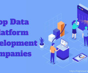 Top 5 Data Platform Development Companies Across the World