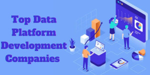 Top 5 Data Platform Development Companies Across the World