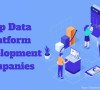 Top 5 Data Platform Development Companies Across the World