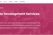 10 Best Big Data Development Firms for Enterprises