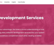 10 Best Big Data Development Firms for Enterprises