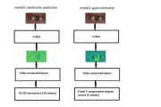 Beyond Compliance: How Predictive Gaze Modeling Enhances Digital Accessibility