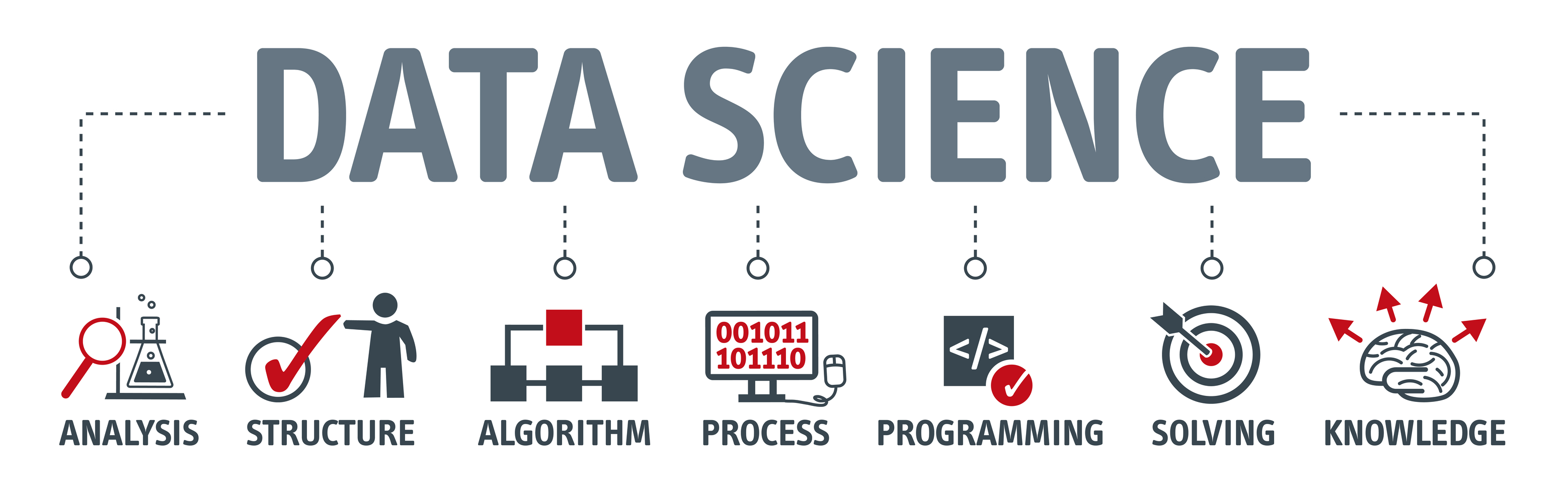 Data Science and How Data Scientists Add Value to Business - Big
