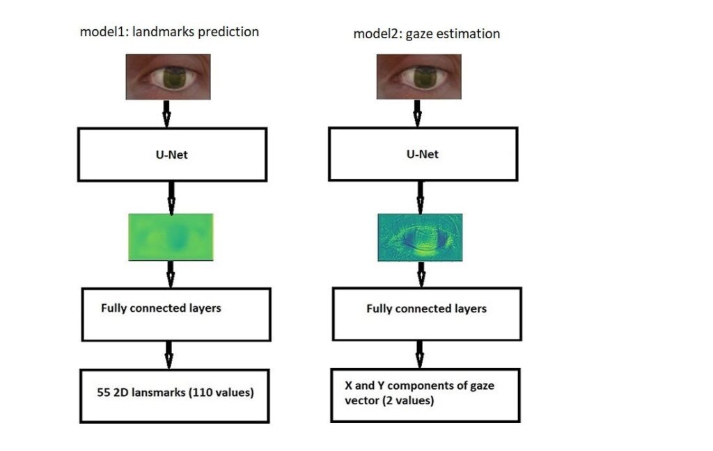 predictive gaze model